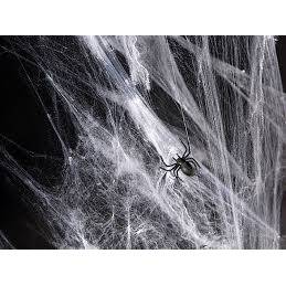 Hämähäkinseitti hämähäkeillä 5 kpl (40g)